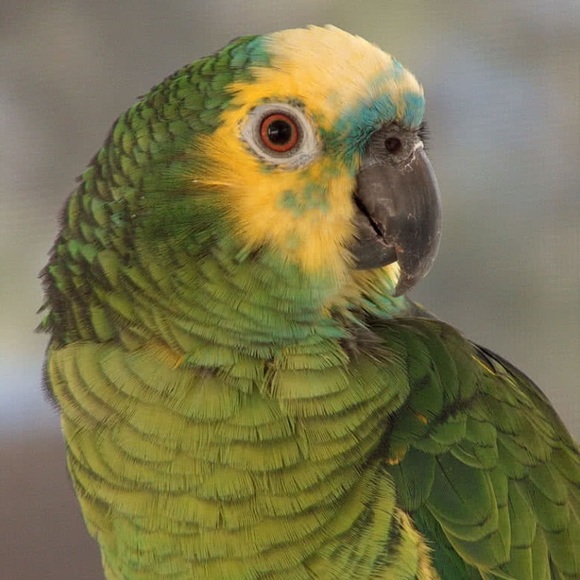 Meet your Posher, Danielle - Picture 1 of 1